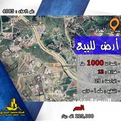  1 رقم الاعلان (4085) ارض سكنية للبيع في منطقة السرو قرب الشارع الرئيسي