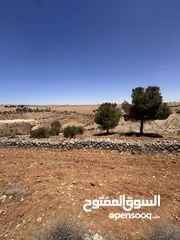  3 للبيع قطعة ارض منطقة نادرة / شرق جرش موقع مميز جدا وبسعر مغري