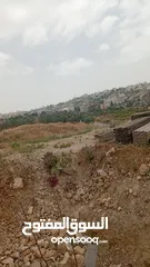  1 ارض للبيع في فرش الهواء