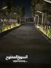  20 شاليه للبيع