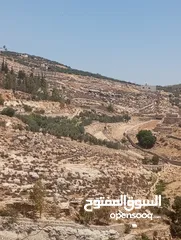  9 5300م حوض الروضه حوض المصدار بسعر لقطه طاله على سيل حسبان