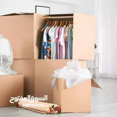  30 professional movers and Packers