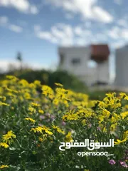  16 مزرعه وشاليهات للإيجار  في ام النمل لواء الكوره اربد