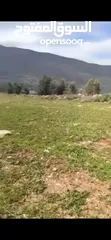  4 بيع ارض بالنصاريه جيدة وممتازه وقابله للزراعه والسكن