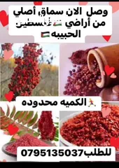 29 للبيع فستان عروس ابيض فاخر والتواصل على رقمي