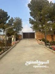  12 شاليه للبيع