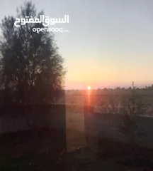  1 بيت عدد 2 مسطح كل بيت 100م مساحة الارض 2 دونم