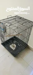  2 big bird cage