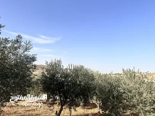  1 500 متر في بيرين حوض القصبات  بالقرب من شفا بدران