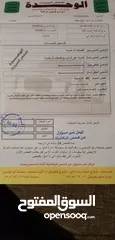  7 نيسان التيما هايبرد 2008