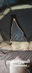  1 (ترامبولين مستعمل بحاله الوكاله عرضها 1,80 حجم كبير للبيع بسعر مغري جدا جدا) التواصل على الواتس