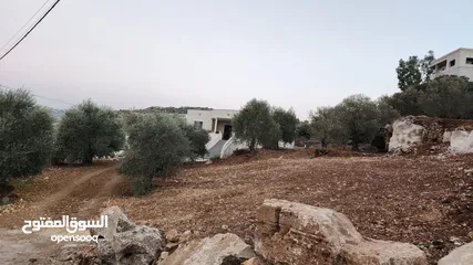  2 كوبر / أرض للبيع مساحه 750 متر مشجره بالزبتون