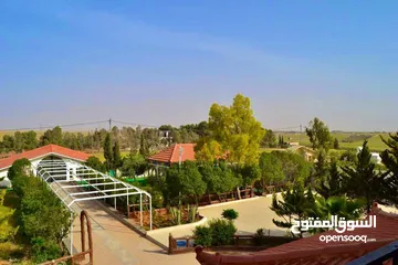  3 مزرعة و ڤيلا ريڤيرا ام العمد طريق المطار- Rivera Resort Farm