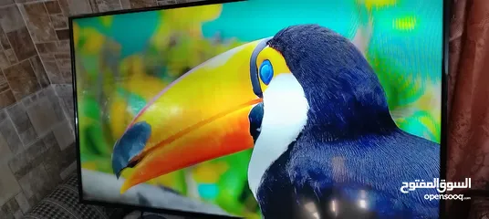  3 شاشه سكاي وورث 50 ال اي دي