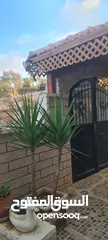  10 بيت مستقل مع ارض  للبيع بسسب السفر