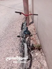  2 بسكليت جبلي أوروبي نمره 20 مستعمل للبيع