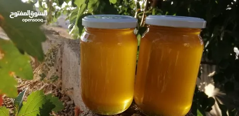  12 عسل طبيعي بلدي اصلي مضمون ومكفول 100٪؜ من مناحلنا