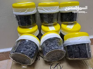  5 صمغ وظفر معطر وعود سحال رووووعة وعود الازرق وجذاب وخصوصي