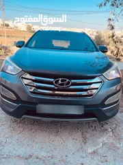  5 محمد ابو الأمير