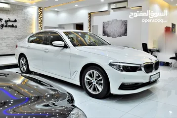  7 BMW 520i ( 2019 Model ) in White Color GCC Specs