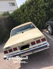  5 شفر كابريس 82