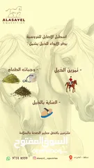  1 ايواء الخيل