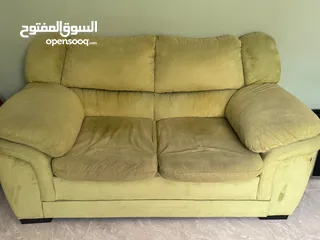  2 كنب دب أمريكي