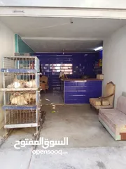  1 محل دجاج للبيع 