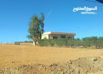  5 بيت ومزرعة ريفي بسعررررر مغررررري كاش واقساط