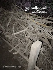  5 تشكيلة حطب للبيع