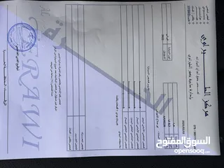  2 ع لكاش سعر حرق دفعه تبدأ 2400 كيا3 2022بنزين وارد كوري جمرك جديد فحص كامل