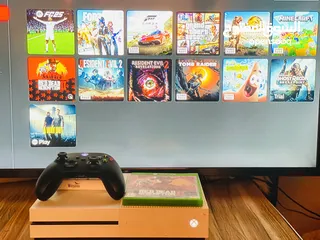  1 جنين برقين