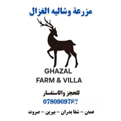  2 مزرعة وشاليه الغزال / الاردن - عمان - بيرين - صروت