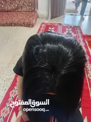  6 باروكة شعر لون اسود
