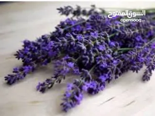  4 كريم ( مزيل عرق )