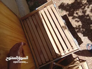  1 منزل نحل مع 10 براويز