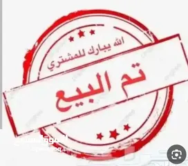  2 ارباش الماني اسود طير حمام على الأول