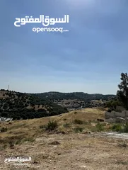  3 قطعة ارض مميزة للبيع في منطقة دابوق