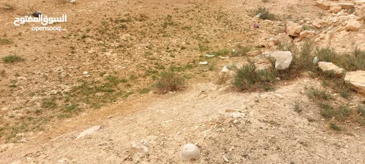  2 قطعة ارض سكنية في الغباوي الزرقاء، الاتصال  0097455516231
