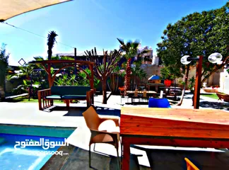  10 مزرعة بشار