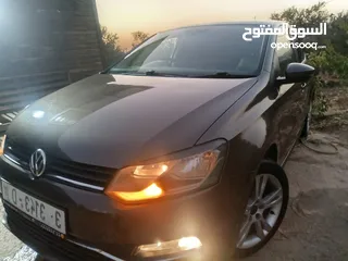  5 بولو جير عادي الحبة النادرة باللون و الجمال و الفحص