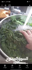  8 ملوخيه وورق عنب وفول وفاصوليا وسبانخ وخضار فروزن