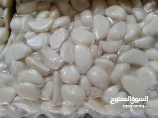  6 ثوم مقشر نخب اول بلدي