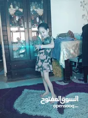  1 نسناس هادي للبيع