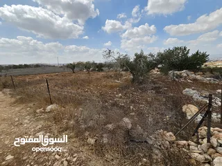  3 فرصة استثمارية لا تعوض . ارض مميزة للبيع في بيت قاد