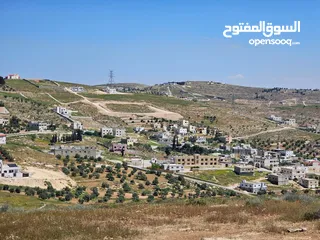  3 أرض سكنية 750 م للبيع في ام رمانه - 900 م عن شارع الأردن