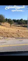  1 قطعه أرض للبيع الموقع عجلون طريق عين جنا سوف المساحه 3 ونص دونم قطعه على شارع رئيسي صالحه للسكن