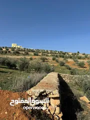  1 للبيع قطعة ارض ثلاث دنمات ونصف منطقة نادرة جرش بسعر مميز