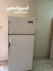  12 نقي وما بقصر معك عندك كلشي