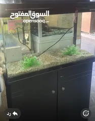  2 حوض سمك اجنبي مع طاوله ماركه BOYU قياس عرض متر العمق 30 سم ارتفاع 45 سم